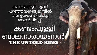 💥കണ്ടമ്പുള്ളി ബാലനാരായണൻ അന്നതെ ഒരു രാജാവ് ഒരു രാജാവ് അല്ല ഒരു ഒന്ന്ഒന്നര രാജാവ് തന്നെ mass mushup💥