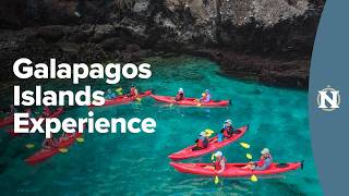 Galapagos Islands: The Nat Hab Experience