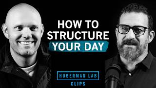Habit Stacking: Structure Your Day for Peak Focus | James Clear & Dr. Andrew Huberman