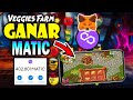 👉Como GANAR MATIC con VEGGIES FARM! 😱 Juego NFT de GRANJAS en POLYGON!