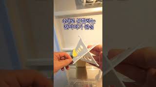 순네르스타 용기를 위해 만든 칸막이 #3dprinting