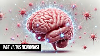 Hábitos matutinos para activar tus neuronas desde temprano.