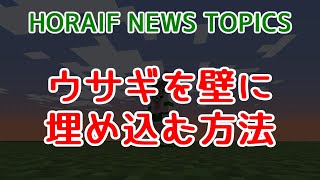 【Minecraft 1.19.2 Java Edition】ウサギを壁に埋め込む方法【HORAIF NEWS TOPICS】