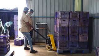 Raw Material Receiving