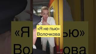 ВОЛОЧКОВА ЕЛЕ СТОИТ НА НОГАХ