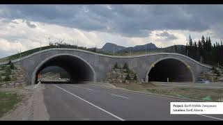 Reinforced Earth Headwalls for Wildlife Overpasses