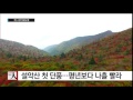 설악산 첫 단풍...평년보다 나흘 빨라 ytn