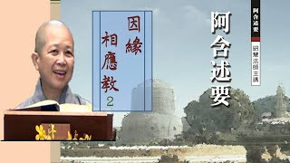 雜阿含經-因緣相應教02 昭慧法師主講 2011年 阿含述要講座42