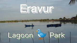 Eravur beautiful lagoon 🐦 park