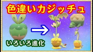 🔴【ポケモンSV】色違いカジッチュレイド＋視聴者同士の交流所（攻略情報・レイド募集・ポケモン交換・ポケモン対戦・攻略情報など）2024年8月7日 夜～