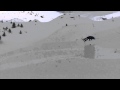 Emil cork 7 try backcountry