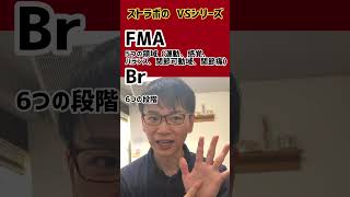 【対決】ヒューゲルメイヤーvsブルンストロームステージ評価 FMA vs Brs #ストラボVSシリーズ