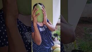 കിളിച്ചുണ്ടൻ അല്ലാ നല്ല സേലം മാങ്ങ🤭 വേണോ?😋😋#shortvideo #viral #latest  #mom #nature #natural #manga