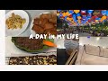 A Day in My Life | Busy day | cooking| Gammy Bear Vlogs