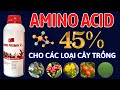 Amino acid 45% nhập khẩu Châu Âu | Hướng dẫn sử dụng cho từng nhóm cây trồng | Công dụng thế nào?