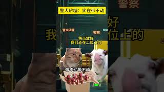 警犬内心：我带不动了 #猫meme小剧场 #万万没想到 #cat