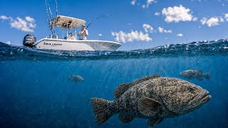 60 Miles Offshore You Never Know What's Gonna Happen Deep Sea Fishing!
