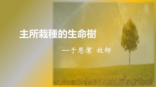 台東611主日崇拜   | 主所栽種的生命樹 |  于恩潔牧師  |  2023.6.11