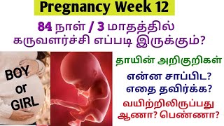 Pregnancy week 12|12 weeks pregnant symptoms  tamil|first trimester pregnancy tamil|12th week tamil