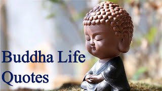 Best Buddha Life quotes #positivethoughts #quotes #life #motivational  @quotesfortheday365
