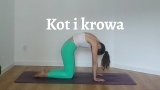 Pozycja kota i krowy (Marjaryasana i Bitilasana)