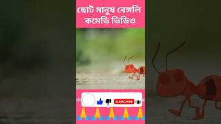 ছোট মানুষ বেঙ্গলি কমেডি ভিডিও | Small man bengali comedy video | #shorts #viral #comedy Part 6