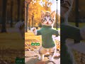 cat funny dance video 💚😹 funny funnydance catvideos ytshorts shortfeed youtubeshorts 0173