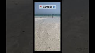 Somalia's Stunning Beach 🏝️ #somalia #coastline #travel #holiday #shortvideo #shortvideo #beach