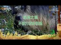 《秘境之眼》 四川羚牛 20220410 cctv