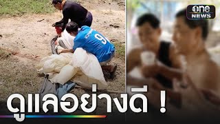 น้ำใจคนไทย แห่ช่วยชาวเกาหลีร่มร่อนตก | ข่าวเที่ยงช่องวัน | สำนักข่าววันนิวส์