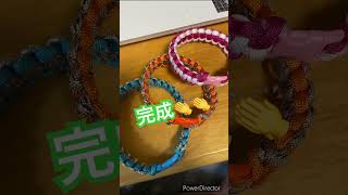 不器用な飼い主が、パラコードで🐶用首輪を作ってみたよ🐶🐶🐶#トイプードル #ペット動画 #犬のいる生活 #癒し #可愛い #犬のいる暮らし