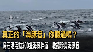 宜蘭烏石港活動200隻海豚伴遊 順利收錄珍貴「海豚音」－民視新聞