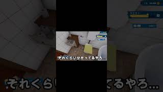 ハウスフリッパー2 #shorts　それくらい分かってるやろ