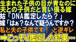 【スカッとする話】生まれた子供の目が青なのに夫との子供だと言い張る嫁。姑「DNA鑑定したら？」嫁「なんで疑うんですか？私と夫の子供です」鑑定した結果ｗ