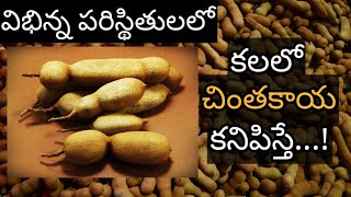 కలలో చింతపండు కనిపిస్తే || Kalalo Chintapandu Kanipiste || Tamerind in Dream Meaning || Dreambook