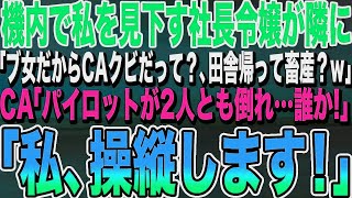 【感動する話】私を見下す社長令嬢と飛行機で偶然隣の席に。「ブスCA、元気？w」→その後、機内でパイロットが2人とも倒れたとのアナウンスがあり、私が名乗りに出ると…【いい泣ける朗読】