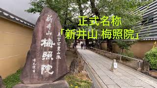 都内散策(中野駅〜新井薬師) 2024年9月