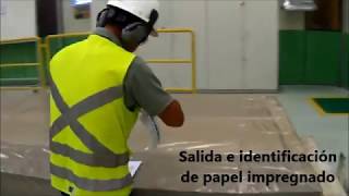 Proceso Impregnacion Brasil