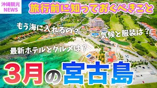 【３月の宮古島】旅行前必見💡初夏⁉️基本情報まとめ／天気・服装・旬のグルメ・最新観光スポット・海開きイベント・注意点もまとめて紹介⚠️