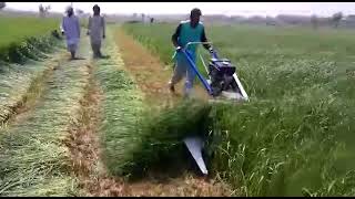 Fodder Cutting, Reaper Machine in Pakistan