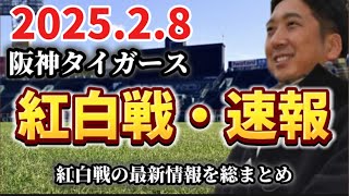 【阪神タイガース・紅白戦】2月8日に行われた紅白戦、超速報・結果まとめと活躍した選手の考察