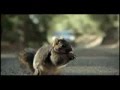 Screaming Animals : Bridgestone Super Bowl Commercial