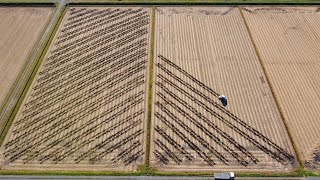 【ドローン空撮】田んぼのミステリーサークル