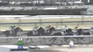 2013年1月19日（土） 3歳新馬 メイショウユキチ