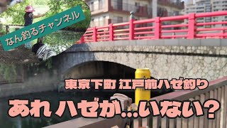 東京下町江戸前ハゼ釣り あれ、ハゼが...いない？