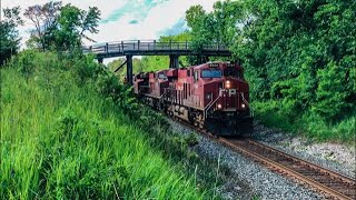 CP 8944 Leads 6 Engine CP 420 With GO Transit Coaches at Beeton, Ontario