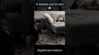 The Paranormal Caught On Camera