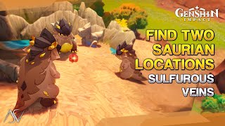 Find Two Saurian Locations (Precious Chest) - Strange Saurian Cart Key | Genshin Impact