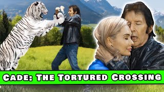 Neil Breen has lost his mind. He fights clip art | So Bad It's Good 268 - Cade T