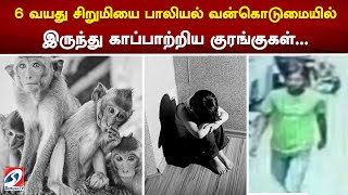 6 வயது சிறுமியை பாலியல் வன்கொடுமையில் இருந்து காப்பாற்றிய குரங்குகள்...